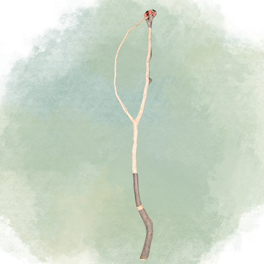 Stab Rohling mit Bogen